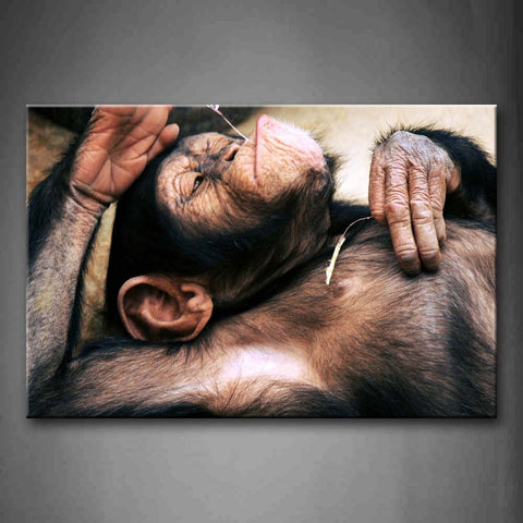 Chimpanzee Lying Portrait Wall Art Painting The Picture Print On Canvas Animal Pictures For Home Decor Decoration Gift 