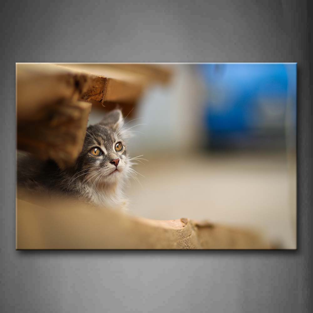 Gray Cat Hide On Wood Wall Art Painting The Picture Print On Canvas Animal Pictures For Home Decor Decoration Gift 