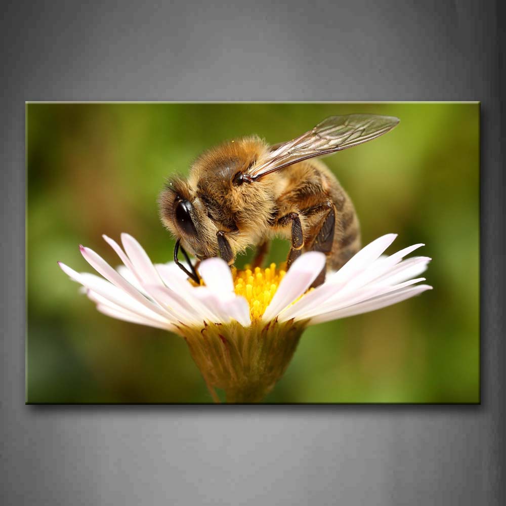 Yellow Bee Stop On Flower To Gather Honey Wall Art Painting Pictures Print On Canvas Animal The Picture For Home Modern Decoration 