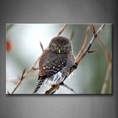 Beautiful Bird Stand On Small Branch  Wall Art Painting The Picture Print On Canvas Animal Pictures For Home Decor Decoration Gift 