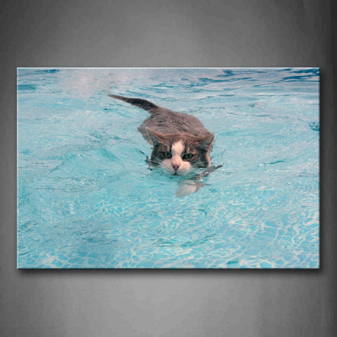 Cat Swim On Blue Water Wall Art Painting Pictures Print On Canvas Animal The Picture For Home Modern Decoration 