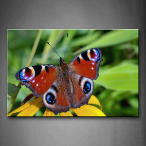 Colorful Butterfly Stop On Yellow Flower Wall Art Painting Pictures Print On Canvas Animal The Picture For Home Modern Decoration 