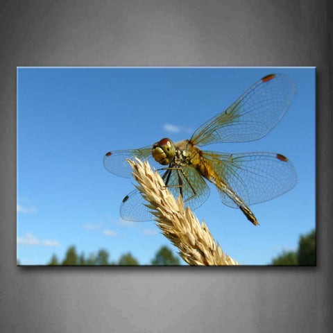 Dragonfly Stop On A Wheat Blue Sky Wall Art Painting The Picture Print On Canvas Animal Pictures For Home Decor Decoration Gift 