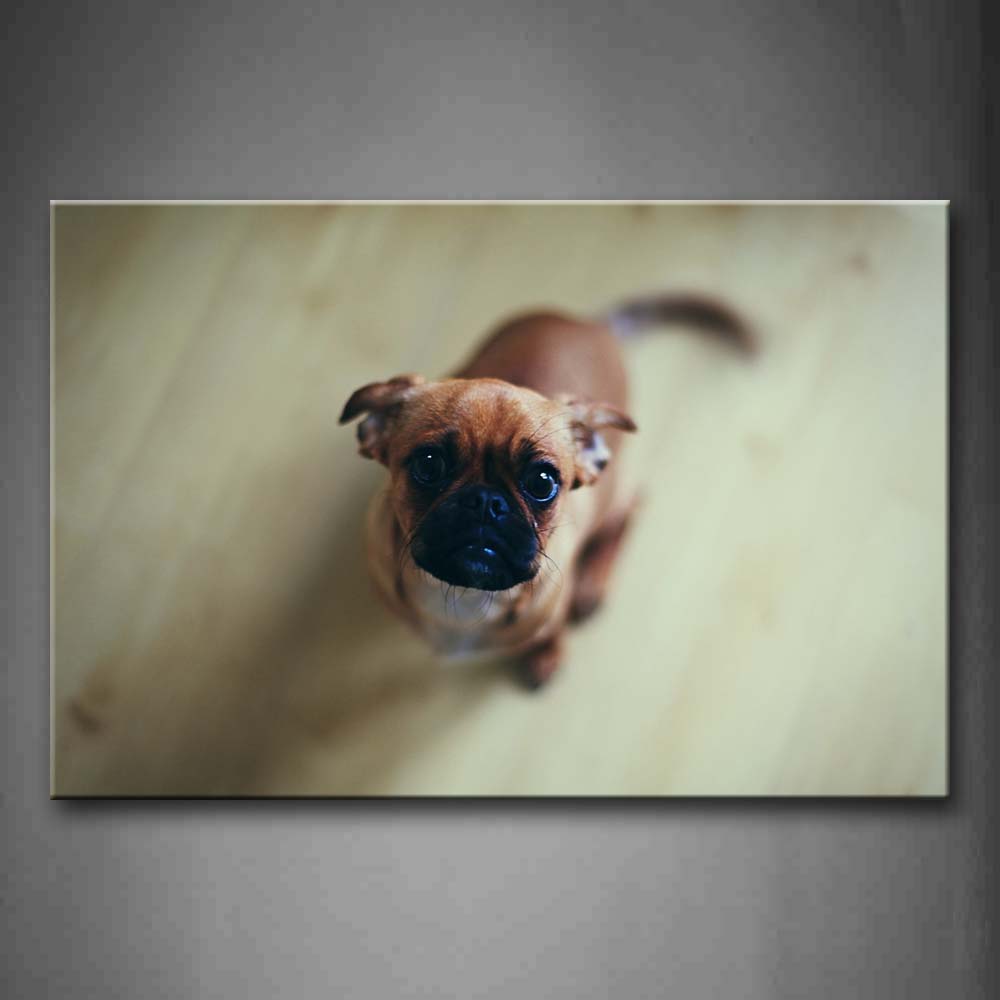 Dog On Wood Land Look Up Wall Art Painting Pictures Print On Canvas Animal The Picture For Home Modern Decoration 