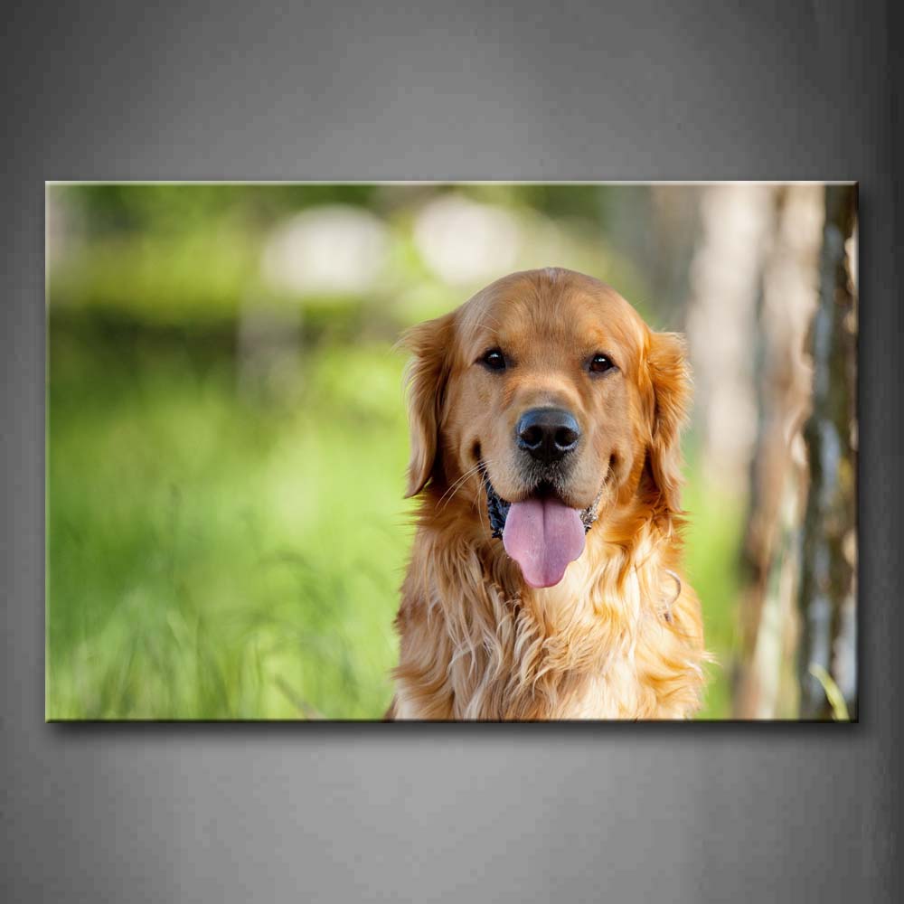 Yellow Dog Sit On Grass Trees Portrait Wall Art Painting Pictures Print On Canvas Animal The Picture For Home Modern Decoration 