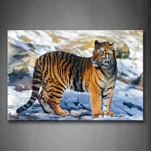 Tiger Stand On Snowfield Look Back Stone Wall Art Painting The Picture Print On Canvas Animal Pictures For Home Decor Decoration Gift 