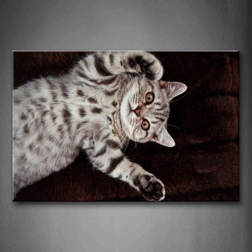 Cat Lie Down On Brown Blanket Wall Art Painting The Picture Print On Canvas Animal Pictures For Home Decor Decoration Gift 