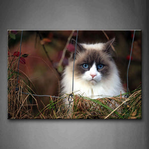 White Cat Sit At Back Of Wire Netting Dry Grass Wall Art Painting Pictures Print On Canvas Animal The Picture For Home Modern Decoration 