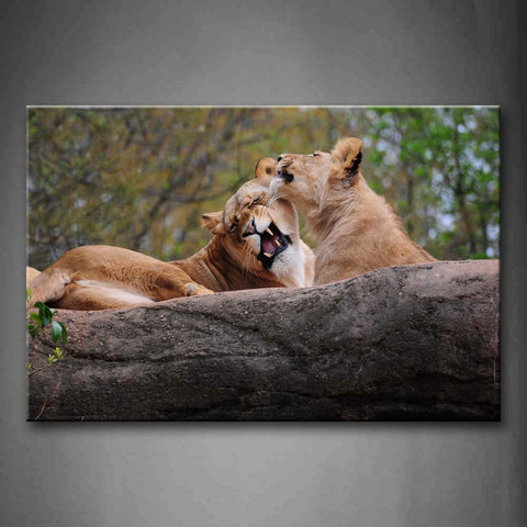 Two Lions Play On Rock Trees Wall Art Painting Pictures Print On Canvas Animal The Picture For Home Modern Decoration 