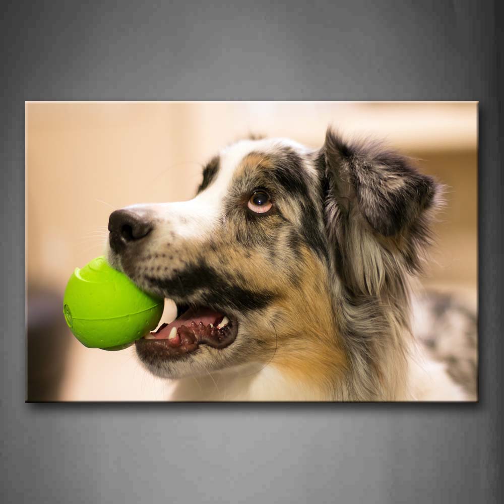 Dog Bite Green Ball Head Portrait Wall Art Painting The Picture Print On Canvas Animal Pictures For Home Decor Decoration Gift 