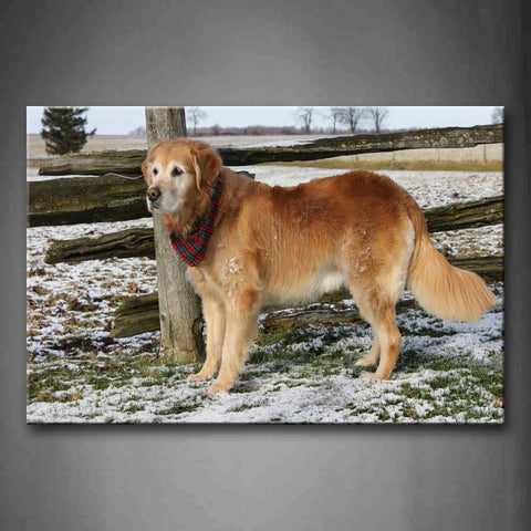 Yellow Dog Stand On Grass Near Wood Snow Cover Grass Wall Art Painting Pictures Print On Canvas Animal The Picture For Home Modern Decoration 