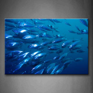A Group Of Fish In Blue Sea Wall Art Painting Pictures Print On Canvas Animal The Picture For Home Modern Decoration 