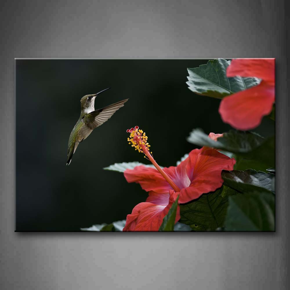 Bird Fly Over Pink Flower  Wall Art Painting Pictures Print On Canvas Animal The Picture For Home Modern Decoration 