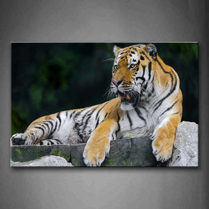 Tiger Sit On Wood Path Stone Wall Art Painting Pictures Print On Canvas Animal The Picture For Home Modern Decoration 