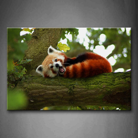 Red Panda Lie On Tree Moss Wall Art Painting Pictures Print On Canvas Animal The Picture For Home Modern Decoration 