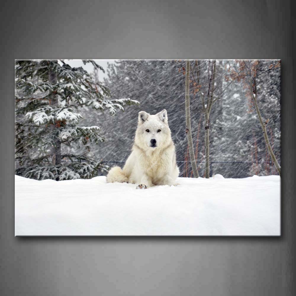 White And Yellow Wolf Sit On Snowfield Tree  Wall Art Painting Pictures Print On Canvas Animal The Picture For Home Modern Decoration 