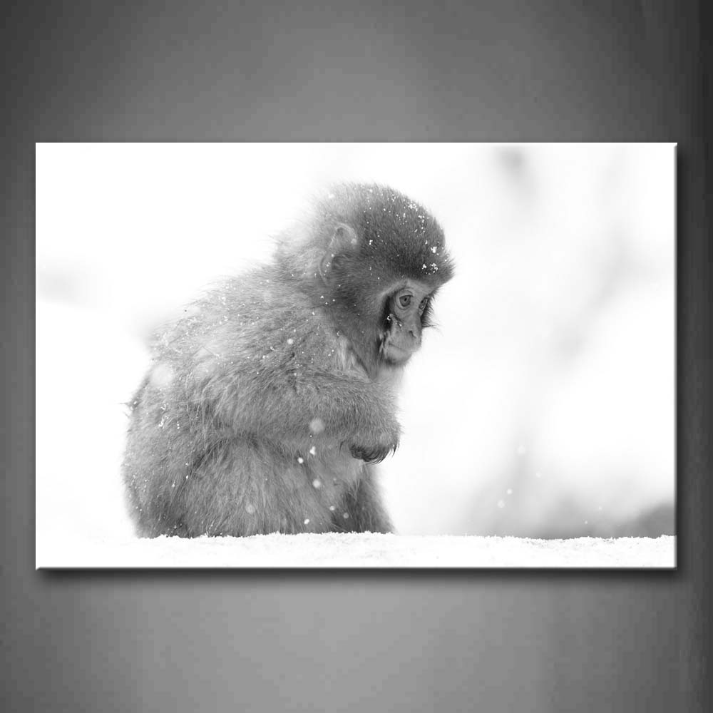 Gray Monkey Sit On Snowfield Snow  Wall Art Painting The Picture Print On Canvas Animal Pictures For Home Decor Decoration Gift 