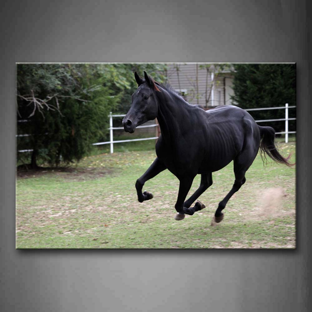 Black Horse Run Pasture Tree Fence Wall Art Painting Pictures Print On Canvas Animal The Picture For Home Modern Decoration 