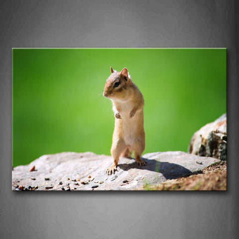 Chipmunk Stand On Rock Food Green Background Wall Art Painting Pictures Print On Canvas Animal The Picture For Home Modern Decoration 