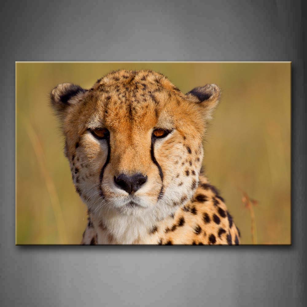 Cheetah Head Grassland Portrait Wall Art Painting The Picture Print On Canvas Animal Pictures For Home Decor Decoration Gift 