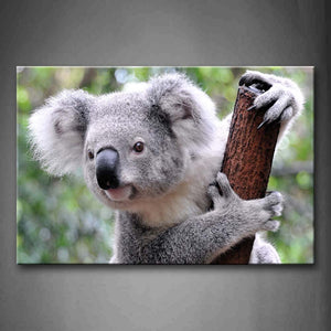 Koala Climb On Stick Tree Wall Art Painting Pictures Print On Canvas Animal The Picture For Home Modern Decoration 