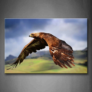 Eagle Fly Over Hill Blue And White Sky Wall Art Painting The Picture Print On Canvas Animal Pictures For Home Decor Decoration Gift 