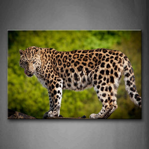 Leopard Stand On Wooden Trestle  Wall Art Painting Pictures Print On Canvas Animal The Picture For Home Modern Decoration 