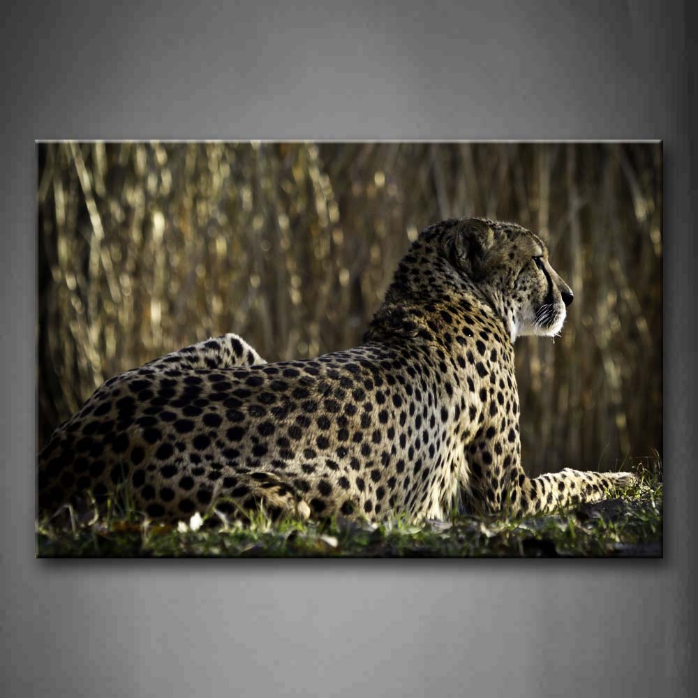 Cheetah Sit On Grass In Grove Wall Art Painting The Picture Print On Canvas Animal Pictures For Home Decor Decoration Gift 