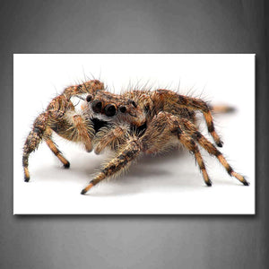 Yellow And Black Spider Portrait Wall Art Painting Pictures Print On Canvas Animal The Picture For Home Modern Decoration 