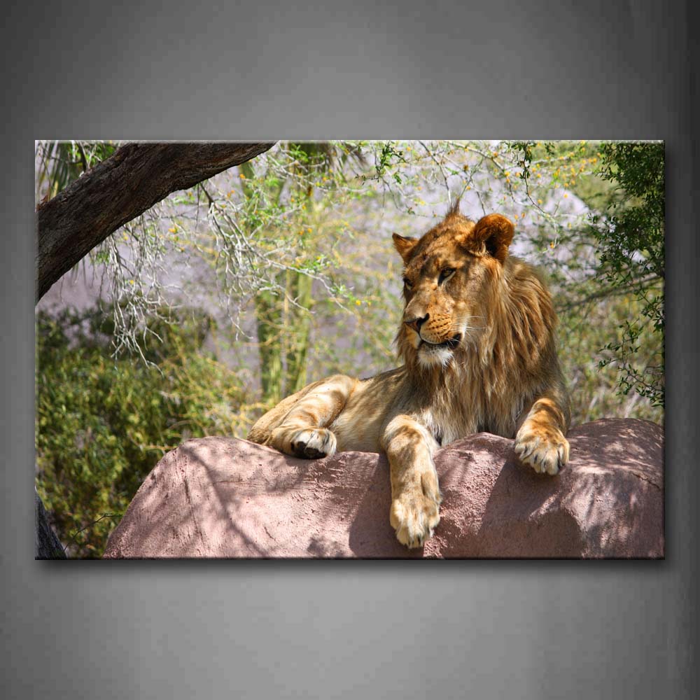 Lion Lie On Rock Under Trees Wall Art Painting Pictures Print On Canvas Animal The Picture For Home Modern Decoration 