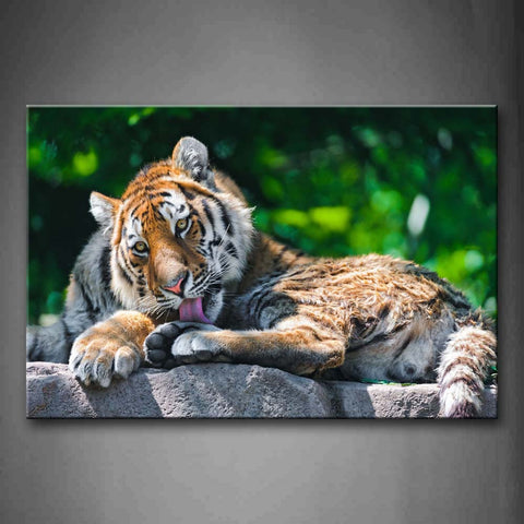 Tiger Lie On Rock Lick Foot Tree Wall Art Painting Pictures Print On Canvas Animal The Picture For Home Modern Decoration 