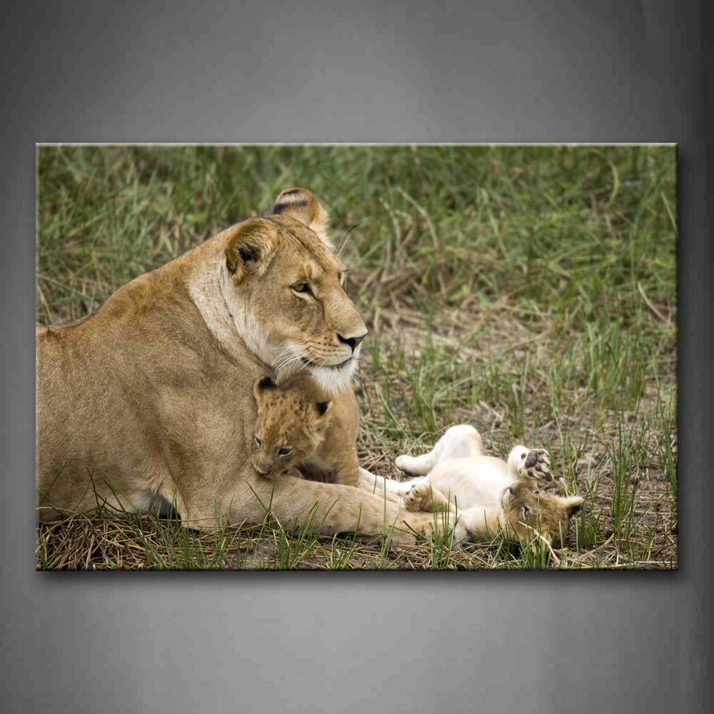 Mother Lion With Cubs On Grass Wall Art Painting Pictures Print On Canvas Animal The Picture For Home Modern Decoration 