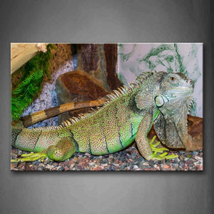 Reptile Stones Plant Wall Art Painting The Picture Print On Canvas Animal Pictures For Home Decor Decoration Gift 