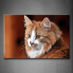 Yellow And White Cat Portrait Wall Art Painting The Picture Print On Canvas Animal Pictures For Home Decor Decoration Gift 