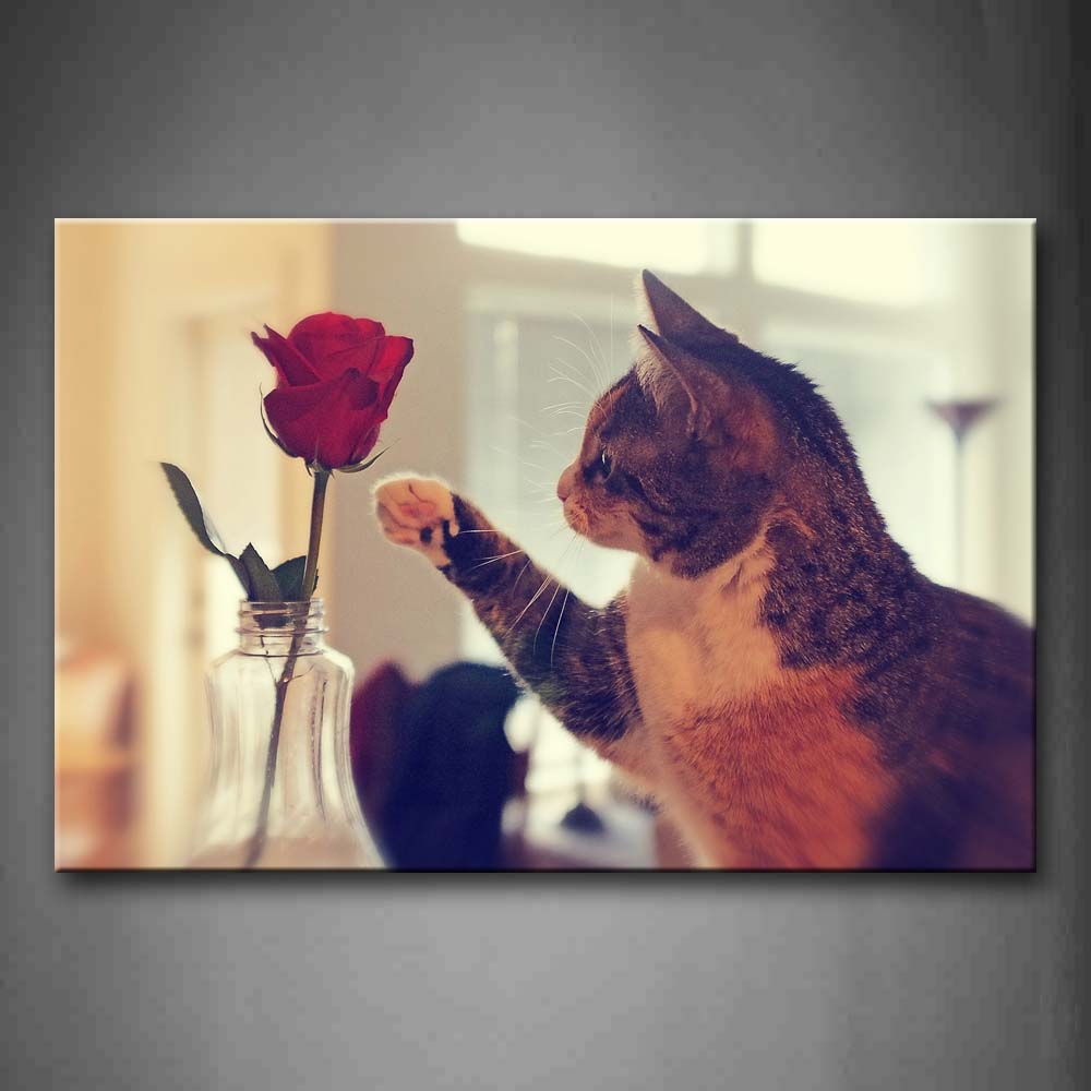 Cat Want To Fetch Rose Inside Room Wall Art Painting Pictures Print On Canvas Animal The Picture For Home Modern Decoration 