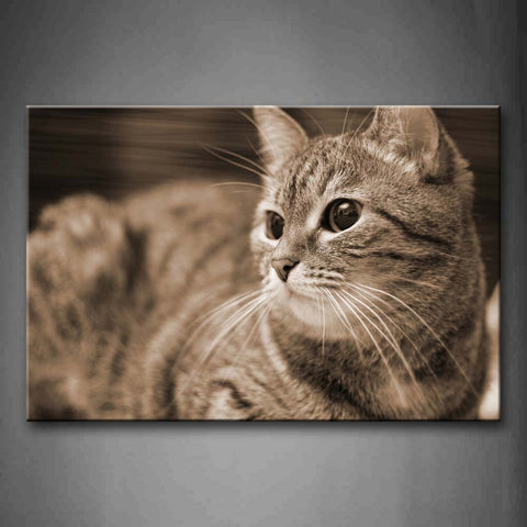 Gray Cat Portrait Wall Art Painting The Picture Print On Canvas Animal Pictures For Home Decor Decoration Gift 