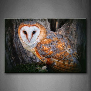 Yellow And Gray Owl On Grass Near Trunk Wall Art Painting Pictures Print On Canvas Animal The Picture For Home Modern Decoration 