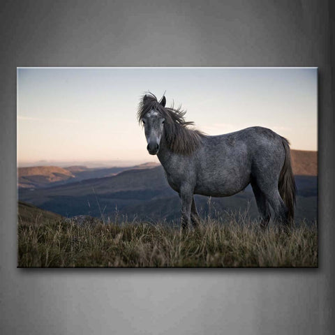 Gray Horse Stand On Dry Grass Hill Wall Art Painting The Picture Print On Canvas Animal Pictures For Home Decor Decoration Gift 