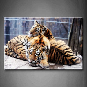 Two Tigers Lie On Land Fence Wall Art Painting The Picture Print On Canvas Animal Pictures For Home Decor Decoration Gift 