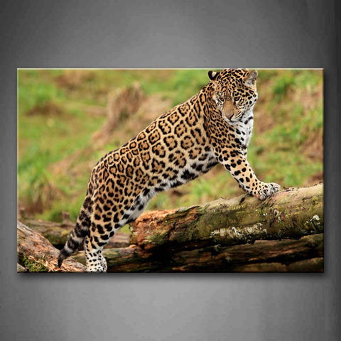 Jaguar Stand On Rotten Wood Grass Wall Art Painting Pictures Print On Canvas Animal The Picture For Home Modern Decoration 