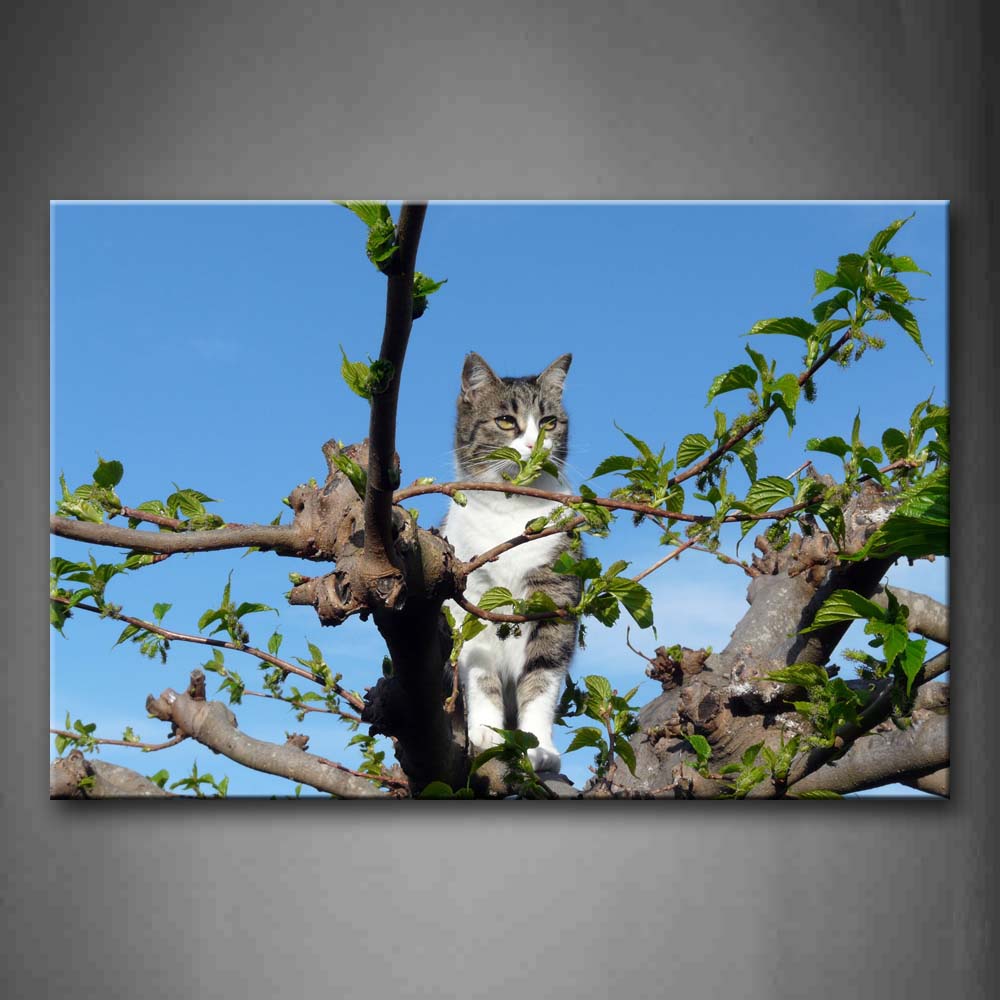 Cat Sit On Tree Top Blue Sky Wall Art Painting Pictures Print On Canvas Animal The Picture For Home Modern Decoration 