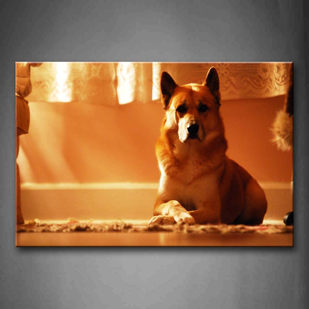 Brown Dog Sit On Blanket Curtain  Wall Art Painting Pictures Print On Canvas Animal The Picture For Home Modern Decoration 