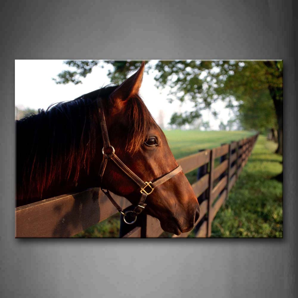 Brown Horse'S Head On Fence Tree Grass Wall Art Painting The Picture Print On Canvas Animal Pictures For Home Decor Decoration Gift 