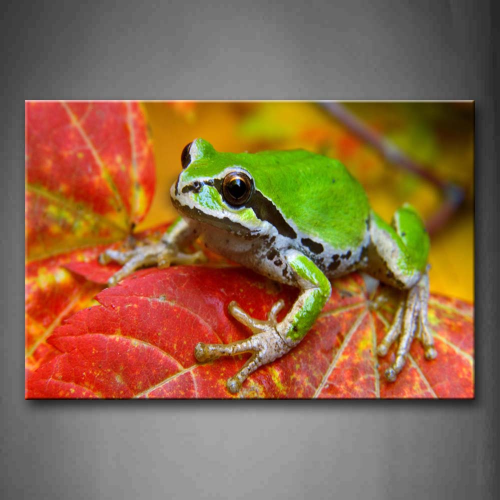 Green Frog On Red Leaf Wall Art Painting The Picture Print On Canvas Animal Pictures For Home Decor Decoration Gift 