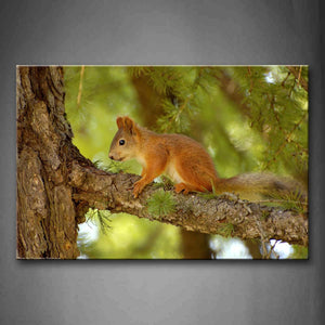 Yellow  Squirrel Sit On Branch Trunk Wall Art Painting The Picture Print On Canvas Animal Pictures For Home Decor Decoration Gift 