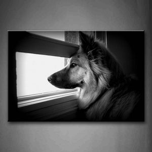 Black And White Dog Ovverlook At Window Wall Art Painting Pictures Print On Canvas Animal The Picture For Home Modern Decoration 