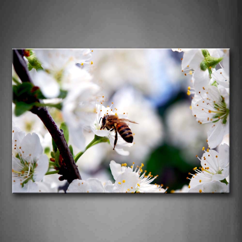 Bee Stop On White Flower To Gather Honey Wall Art Painting The Picture Print On Canvas Animal Pictures For Home Decor Decoration Gift 