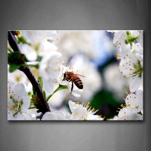 Bee Stop On White Flower To Gather Honey Wall Art Painting The Picture Print On Canvas Animal Pictures For Home Decor Decoration Gift 