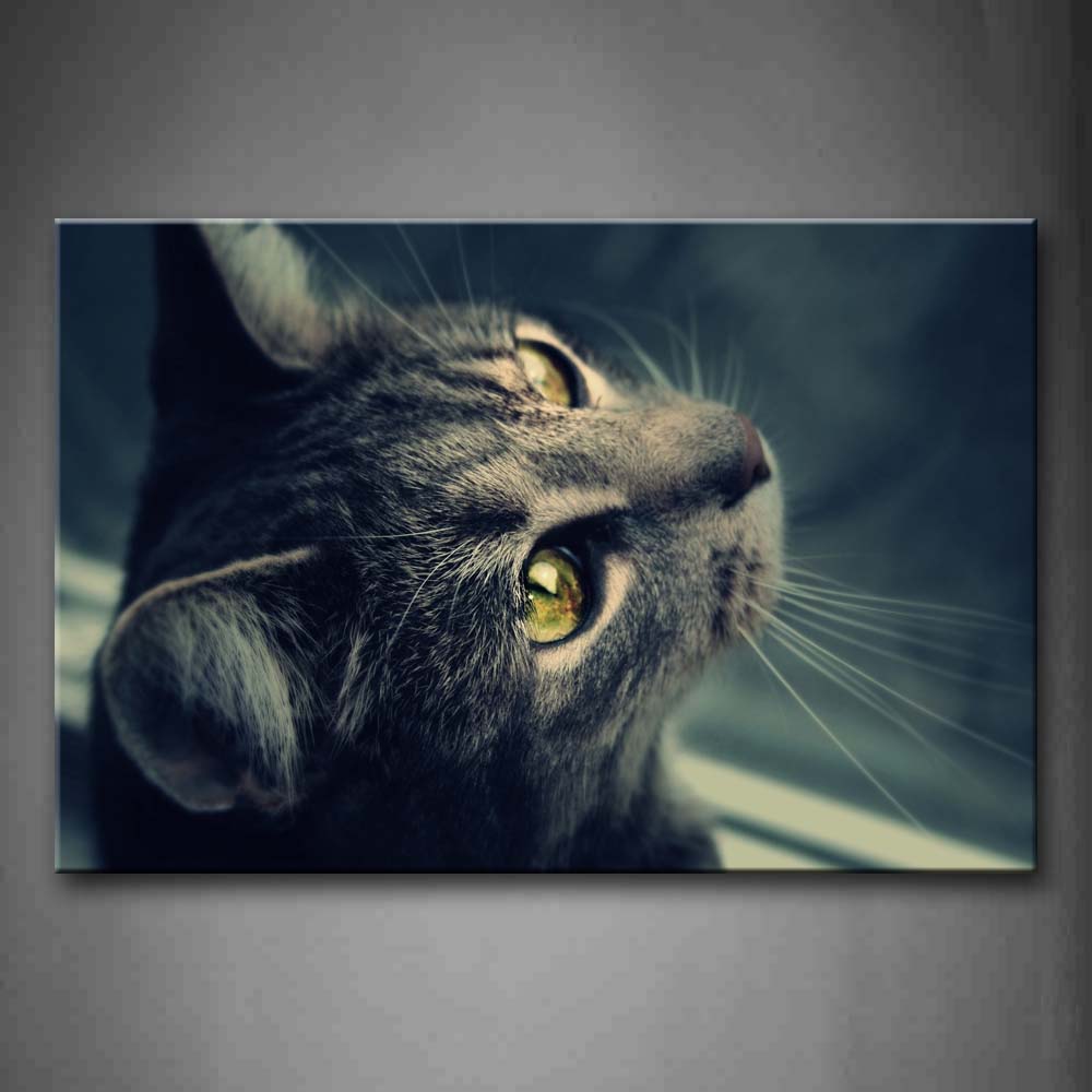 Gray Cat Look Up Head Wall Art Painting Pictures Print On Canvas Animal The Picture For Home Modern Decoration 