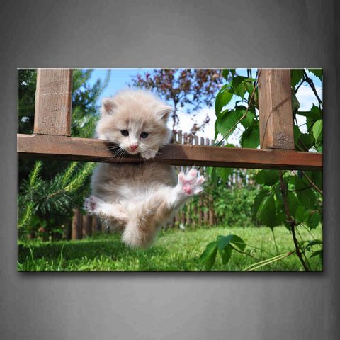 Cat Climb On Wood Fence Lawn Plant Wall Art Painting Pictures Print On Canvas Animal The Picture For Home Modern Decoration 